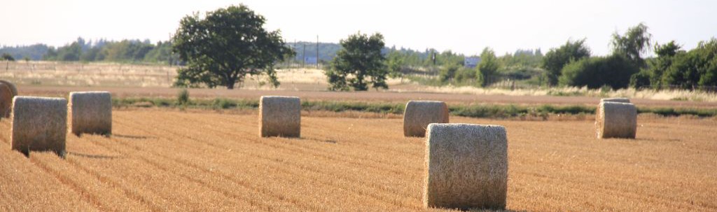 Zukunftsstiftung Rheinische Landwirtschaft